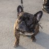 собрание_09.07.14_12