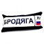 Бродяга